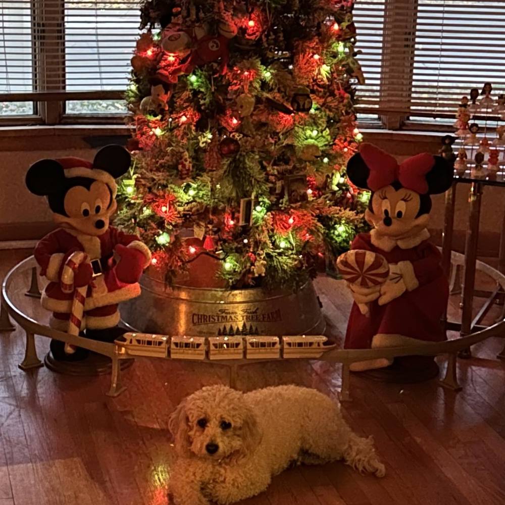 Meet your Posher, Ive